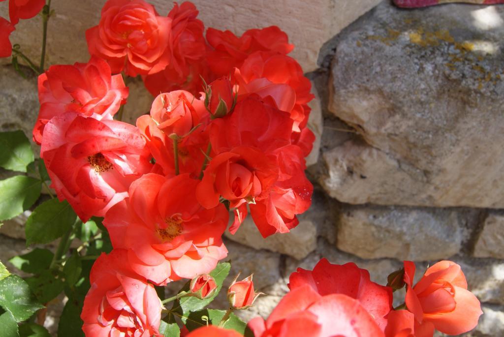Manoir De La Pataudiere B&B Villers-Canivet Bilik gambar